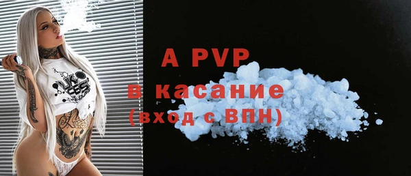 спиды Вяземский