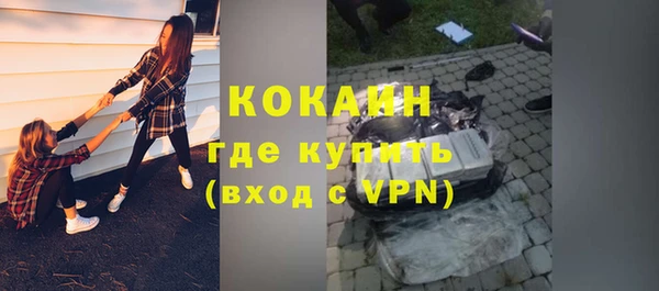 спиды Вяземский