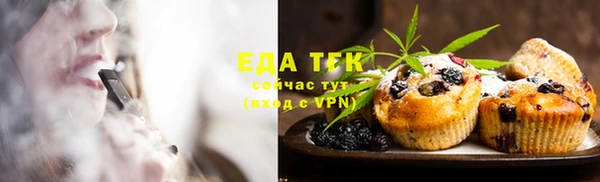спиды Вяземский