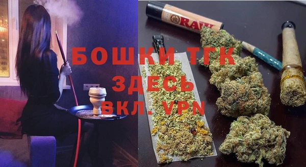 спиды Вяземский