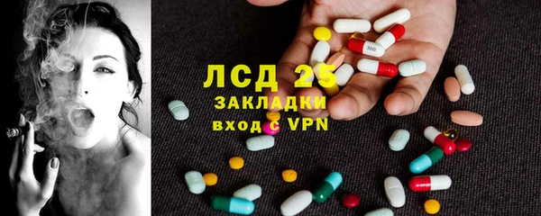 спиды Вяземский