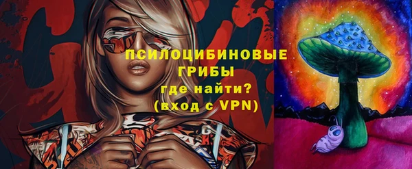 спиды Вяземский