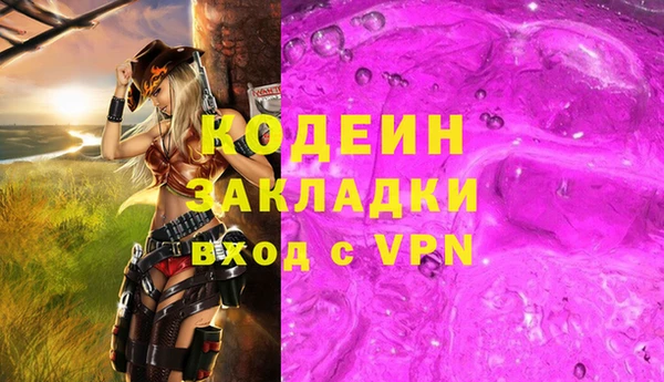 спиды Вяземский