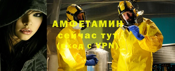 спиды Вяземский