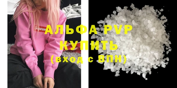 спиды Вяземский