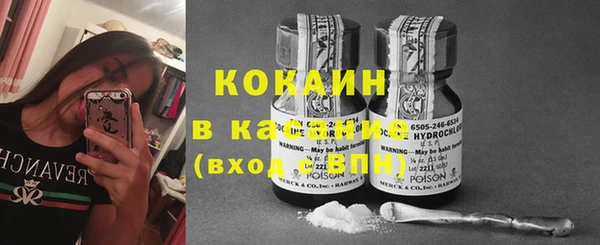 спиды Вяземский